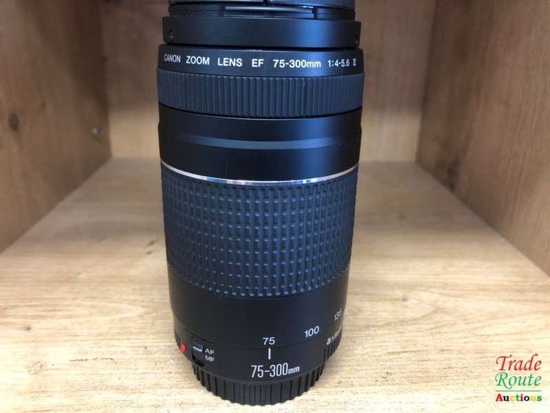 Canon EF 75-300mm 4-5.6 Mark iii Telephoto Zoom Lens for 600D, 650D, 700D, 750D 1200D 1300D Etc