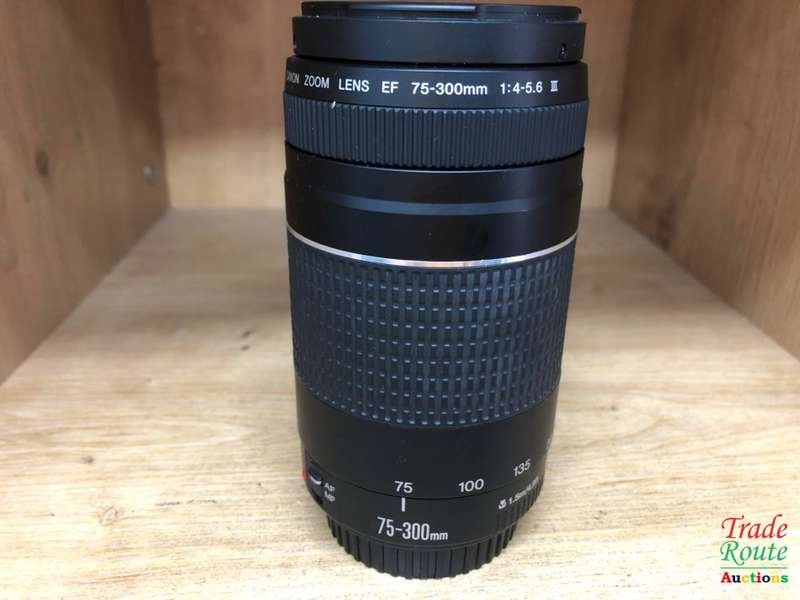 Canon EF 75-300mm 4-5.6 Mark iii Telephoto Zoom Lens for 600D, 650D, 700D, 750D 1200D 1300D Etc