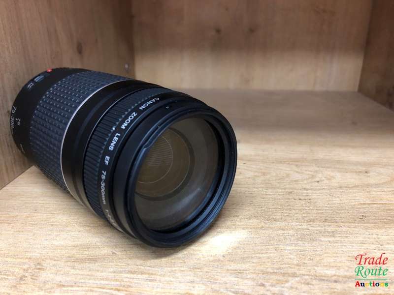 Canon EF 75-300mm 4-5.6 Mark iii Telephoto Zoom Lens for 600D, 650D, 700D, 750D 1200D 1300D Etc