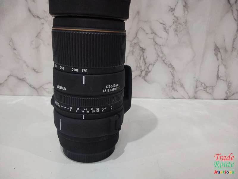 SIGMA 170-500mm F5-6.3 APO DG Telephoto Zoom Lens- HUGE LENS [CANON]