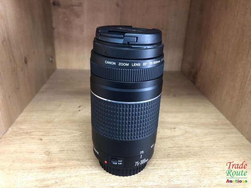 Canon EF 75-300mm 4-5.6 Mark iii Telephoto Zoom Lens for 600D, 650D, 700D, 750D 1200D 1300D Etc