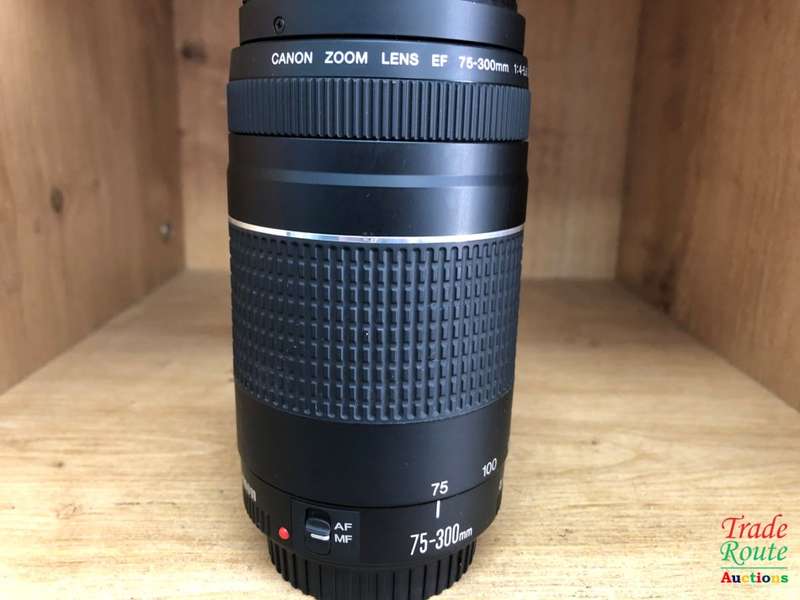 Canon EF 75-300mm 4-5.6 Mark iii Telephoto Zoom Lens for 600D, 650D, 700D, 750D 1200D 1300D Etc