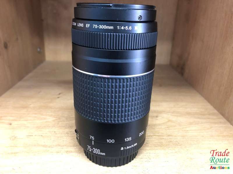 Canon EF 75-300mm 4-5.6 Mark iii Telephoto Zoom Lens for 600D, 650D, 700D, 750D 1200D 1300D Etc