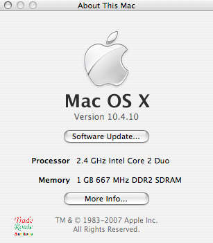 iMac 20-Inch `Core 2 Duo` 2.4Ghz - All in One COMPUTER Desktop - 1GB RAM - 320GB HDD