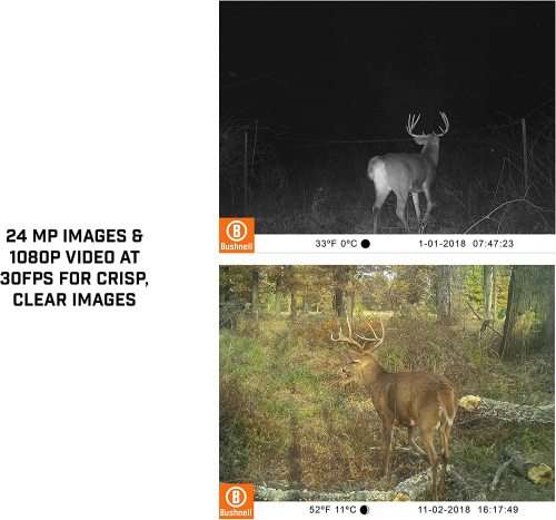 Bushnell 24MP CORE Trail Camera, Single Sensor, no Glow_119938C