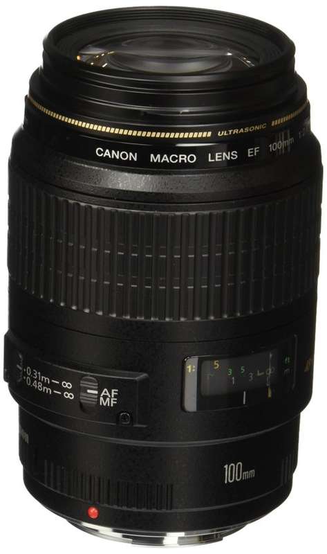 Canon EF 100mm f/2.8 USM Macro Lens