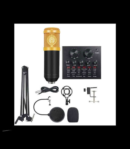 Professional Recording Microphone Soundcard Set M800 Pro Condenser Microphone Kit V8 Sound Card Gold