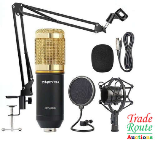 Professional Recording Microphone Soundcard Set M800 Pro Condenser Microphone Kit V8 Sound Card Gold