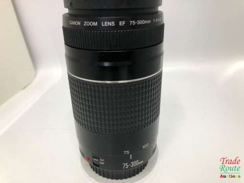 Canon EF 75-300mm Lens