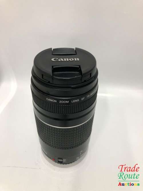 Canon EF 75-300mm 4-5.6 Mark iii Telephoto Zoom Lens for 600D, 650D, 700D, 750D 1200D 1300D Etc