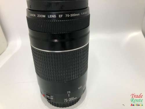 Canon EF 75-300mm 4-5.6 Mark iii Telephoto Zoom Lens for 600D, 650D, 700D, 750D 1200D 1300D Etc