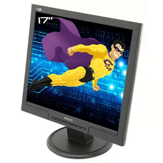 Philips 17-inch 170S 1280 x 1024 LCD Monitor Black - 170S8FB  Computer Monitor [DVI & VGA PORTS]