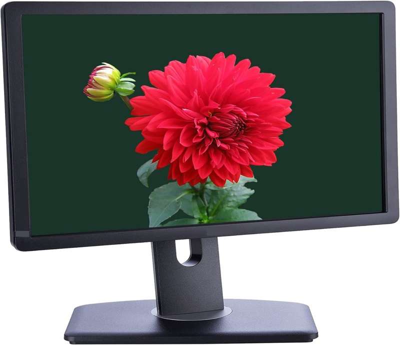 Dell Wide Screen 19 inch Desktop Computer Tower Monitor (VGA, Display, DVI Ports)