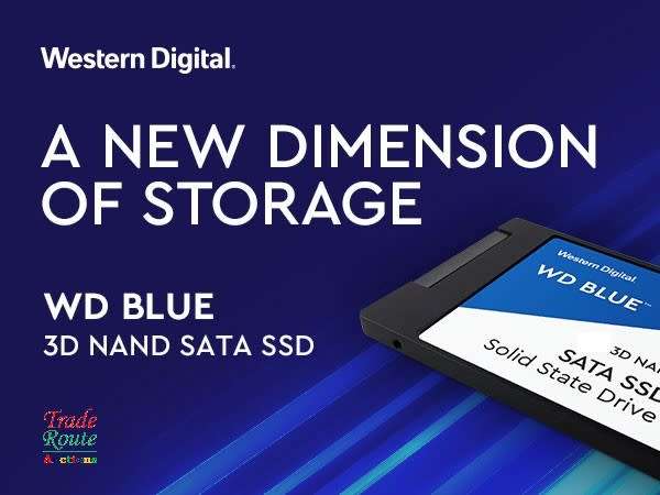WD Blue 1TB SSD - Solid State Drive