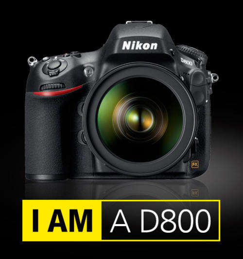 NIKON D800 | 36.3 MEGAPIXELS | DIGITAL SLR CAMERA BODY | FX FORMAT | 4 FPS | FULL HD - BODY ONLY