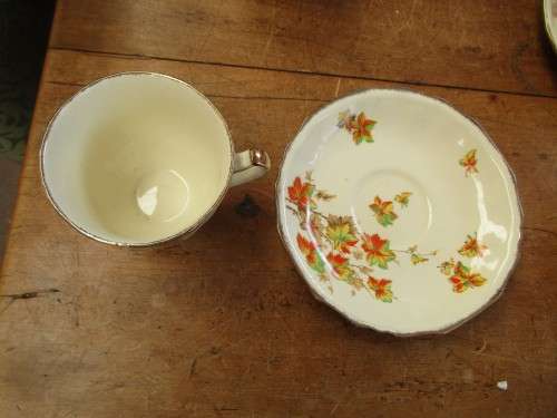 6 ALFRED MEAKIN MARIGOLD CUPS AND SAUCERS