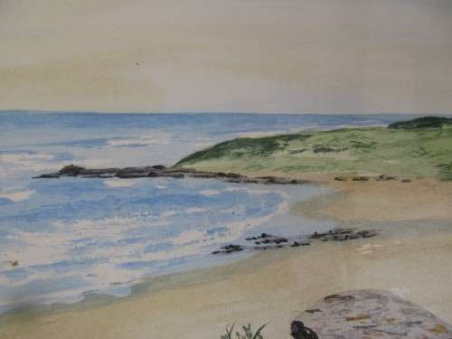 PETER SOUTHWORTH WATERCOLOUR ON BOARD TRANSKEI COAST
