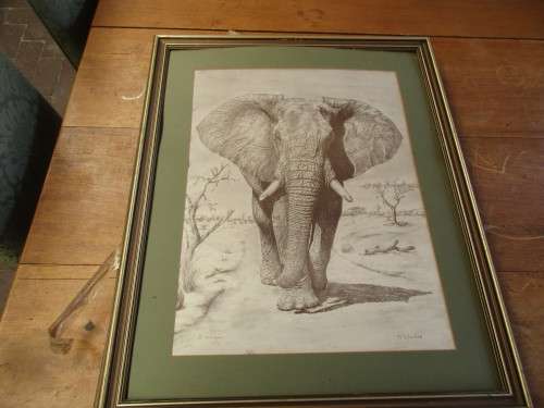 THREE PRINTS OF K WACKER LION ANTELOPE AND ELEPHANT