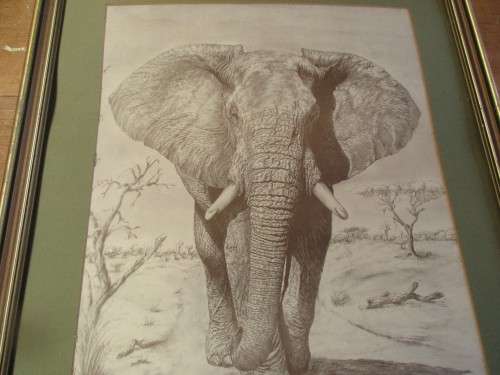 THREE PRINTS OF K WACKER LION ANTELOPE AND ELEPHANT