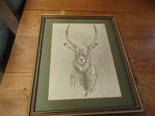 THREE PRINTS OF K WACKER LION ANTELOPE AND ELEPHANT