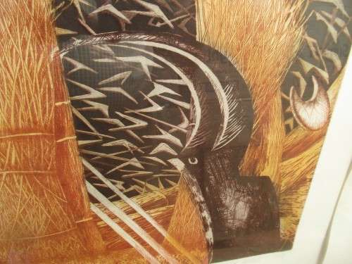 SOUTH AFRICAN SIGNED PRINT  VERONA HIGGS 1990 COSMIC ORDER