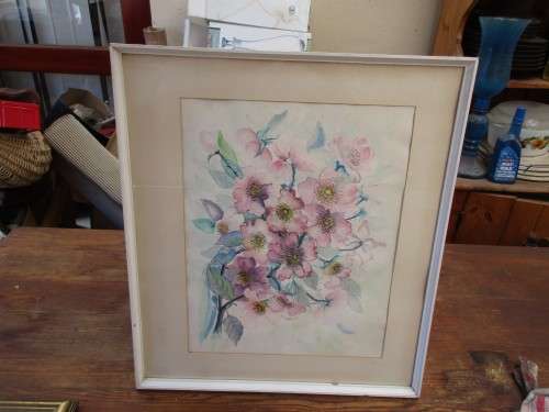BEAUTIFUL WATERCOLOUR COSMOS