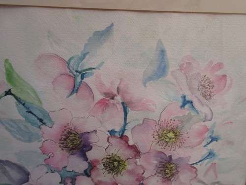 BEAUTIFUL WATERCOLOUR COSMOS