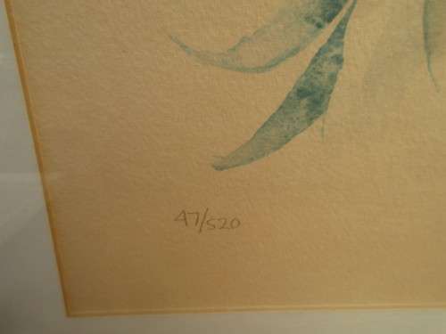 BEAUTIFUL PRINT OF HIBISCUS FLOWERS SIGNED B LEIGH