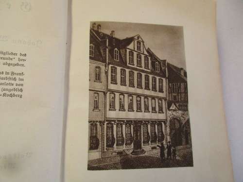 LOVELY 1924 GERMAN BOOK ON GOETHE'S  GEDICHTE