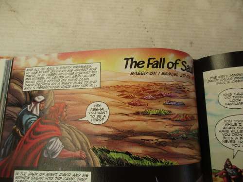 THE ACTION BIBLE 2010