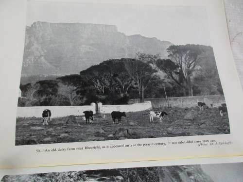 TABLE MOUNTAIN OUR NATIONAL  HERITAGE AFTER THREE HUNDRED YEARS FIRST EDITION 1951