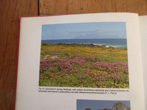 JOURNAL OF SOUTH AFRICAN BOTANY PLANTS OF THE CAPE FLORA  1984 FIRST EDITION