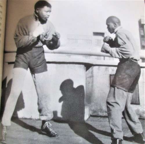 LONG WALK TO FREEDOM  NELSON MANDELA 1995