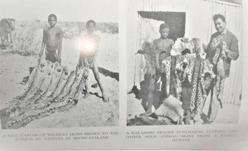 STRANGE AFRICA LAWRENCE GREEN 1982