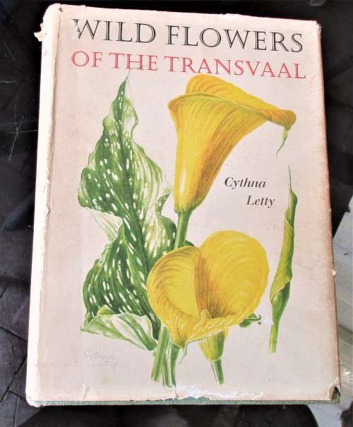 WILD FLOWERS OF THE TRANSVAAL CYNTHIA LETTY 1962 FIRST EDITION