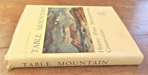 TABLE MOUNTAIN C A LUCKOFF   FIRST EDITION  BALKEMA 1951