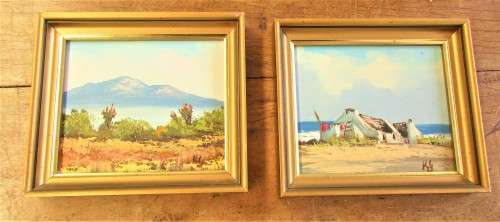 PAIR BEAUTIFUL OIL  ON BOARD  SCENES LOOKS LIKE EASTERN CAPE