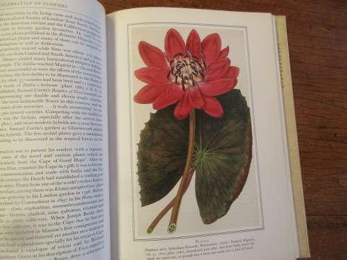 A CELEBRATION OF FLOWERS TWO HUNDRED YEARS OF CURTIS`S BOTANICAL MAGAZINE FIRST EDITION 1987