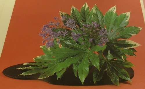 IKEBANA   FIRST EDITION 1984