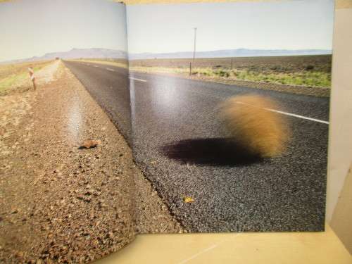 TIMELESS KAROO FIRST EDITION STRUIK 2007