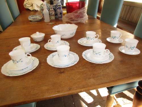 ARCOROC (FRANCE) SET OF 8 CUPS  AND SAUCERS AND SIX SIDE PLATES  SUGAR BOWL AND A BIG BOWL