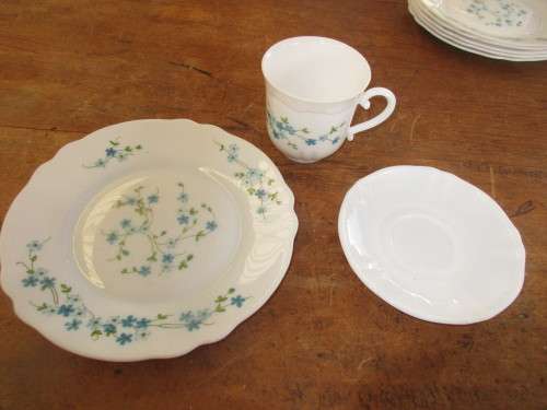 ARCOROC (FRANCE) SET OF 8 CUPS  AND SAUCERS AND SIX SIDE PLATES  SUGAR BOWL AND A BIG BOWL