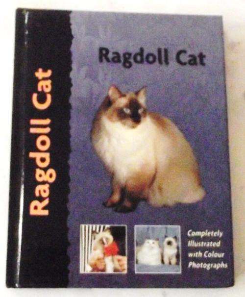 RAGDOLL CAT