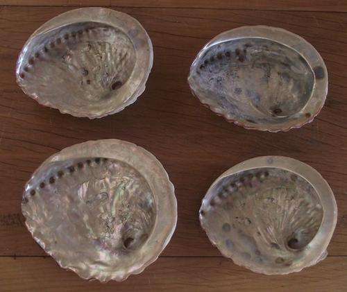 FOUR SHELLS
