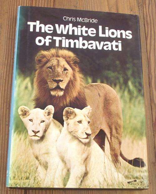 THE WHITE LIONS OF TIMBAVATI