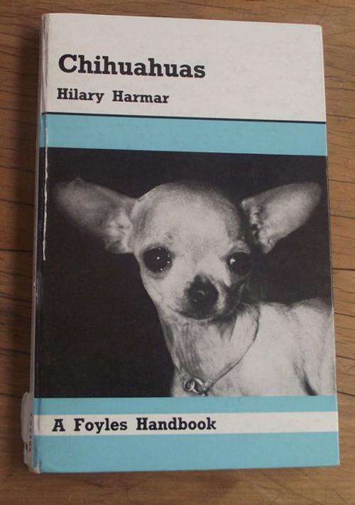 CHIHUAHUAS