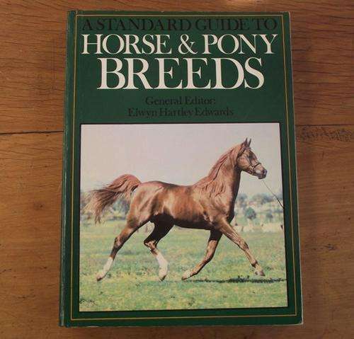 HORSE AND PONY BREEDS