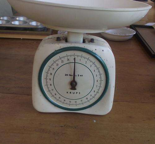 KRUPS SCALE TO MEASURE 25LBS