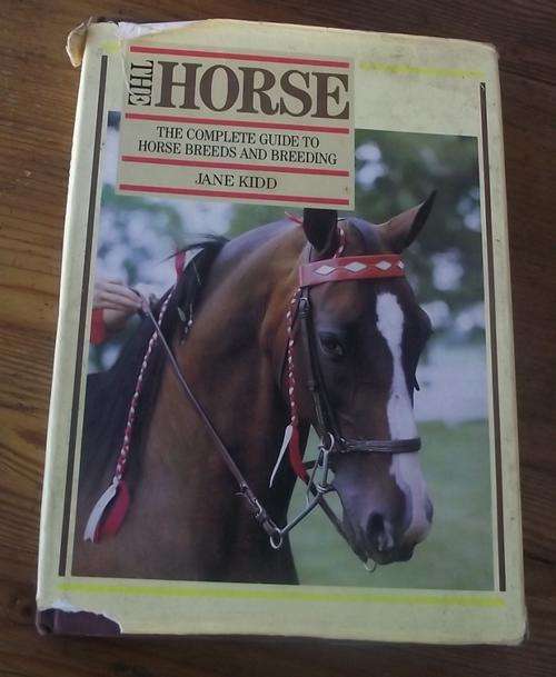 THE HORSE