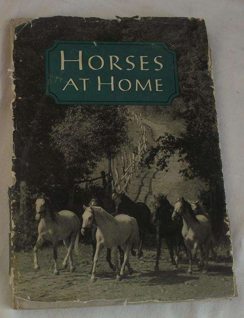HORSES AT HOME